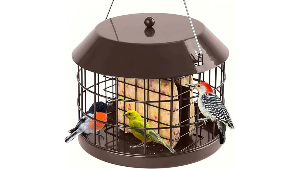 outdoor squirrel proof suet feeder