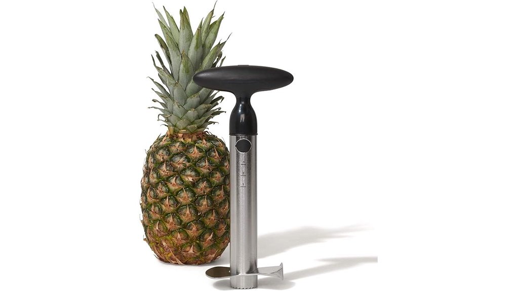oxo pineapple corer slicer