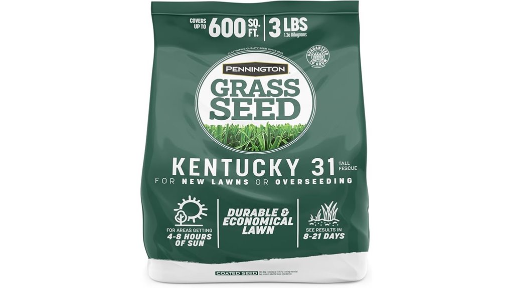 pennington kentucky 31 fescue