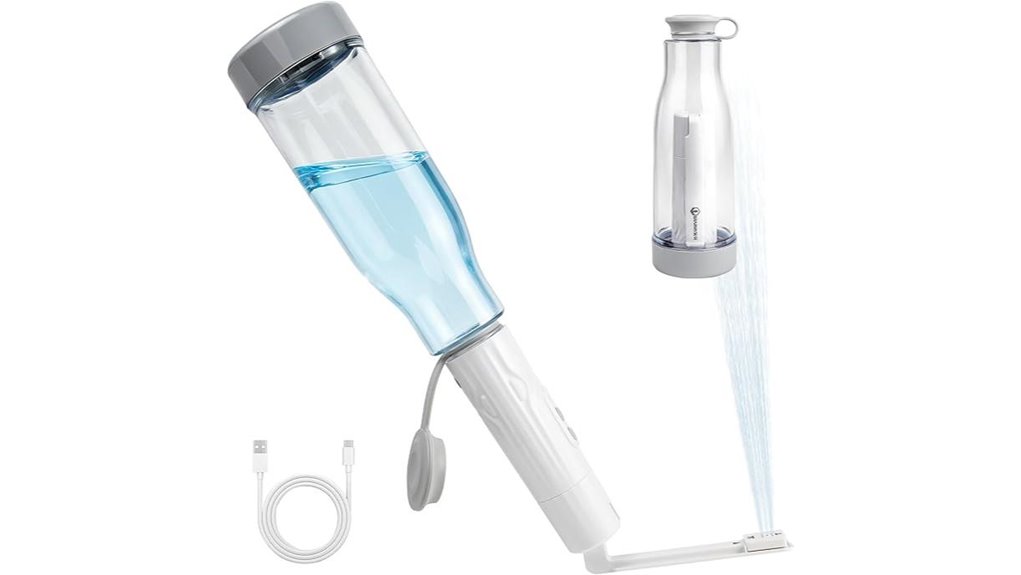 portable electric high pressure sprayer