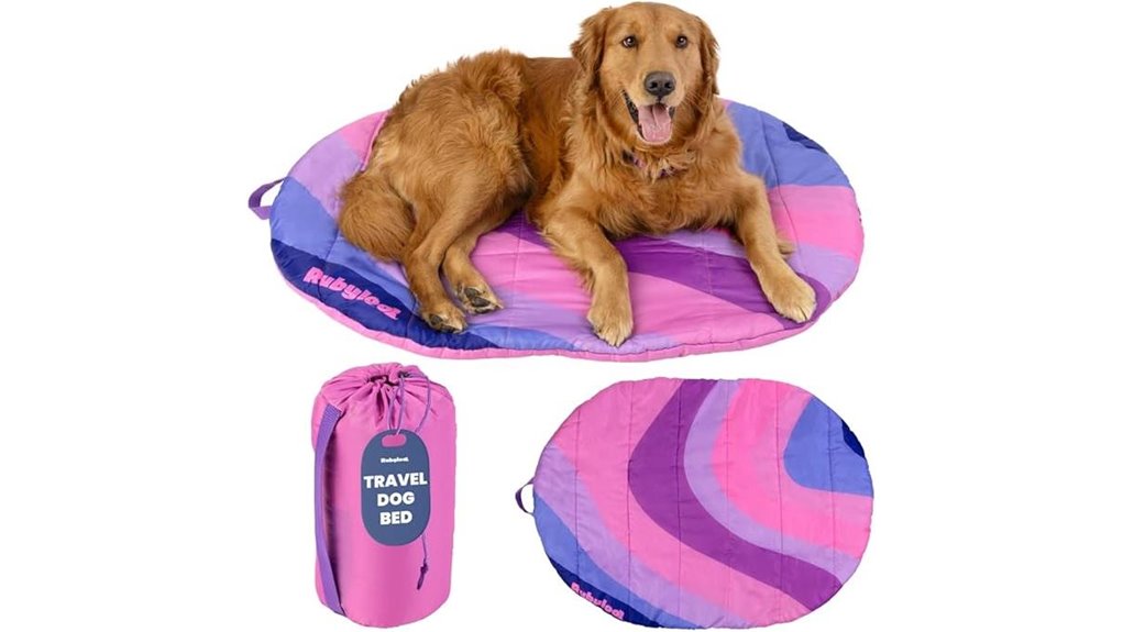 portable packable water resistant bed
