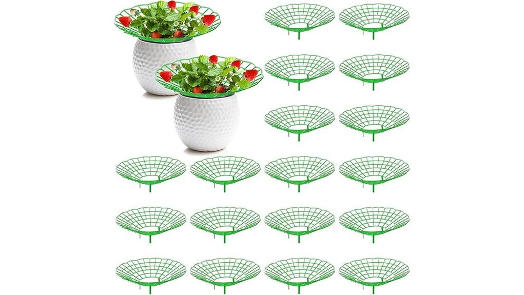 pumtus 20 strawberry supports