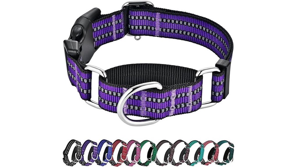 purple reflective martingale collar