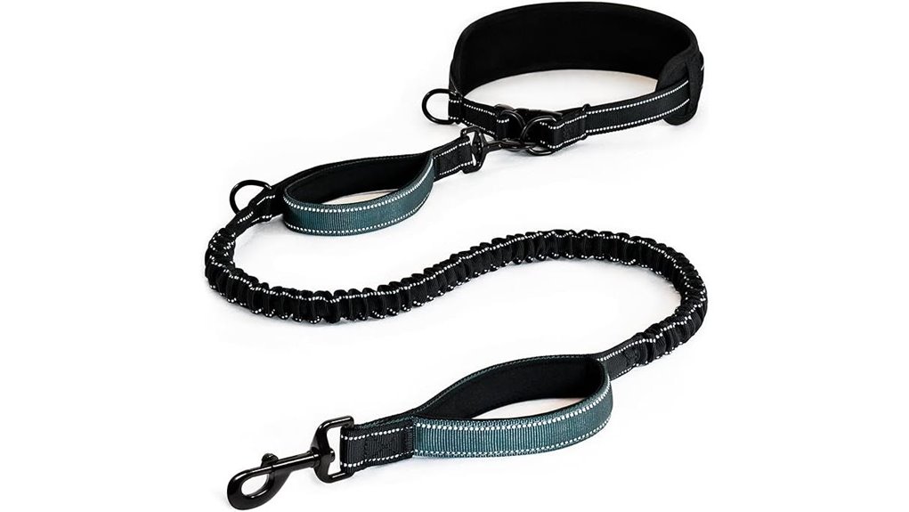 quick release waist dog leash