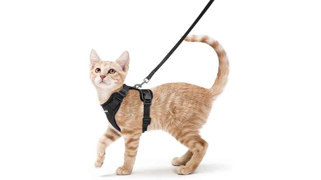 rabbitgoo escape proof cat harness