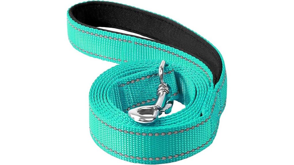 reflective dog padded 6ft