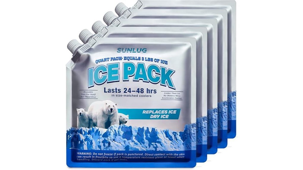 reusable ice pack bags