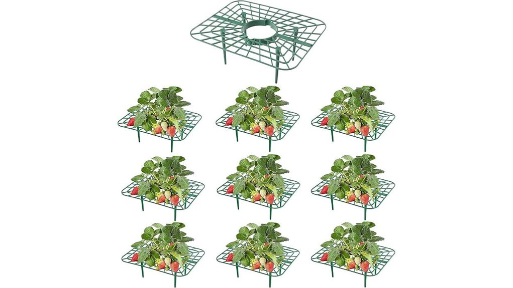 reusable strawberry 10 pack holders