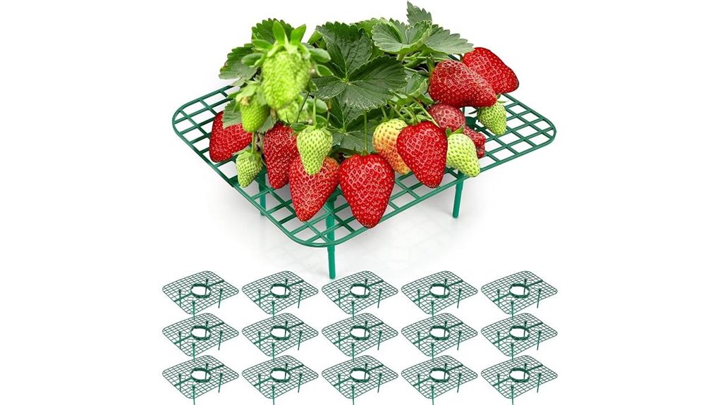 reusable strawberry plant supports