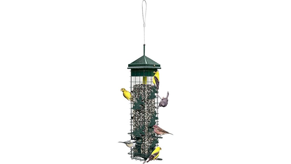 squirrel proof 6 port 3 4 lb feeder
