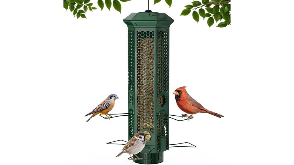 squirrel proof 6 port 3lb feeder