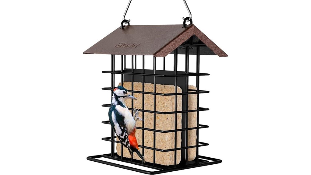 squirrel proof metal suet feeder