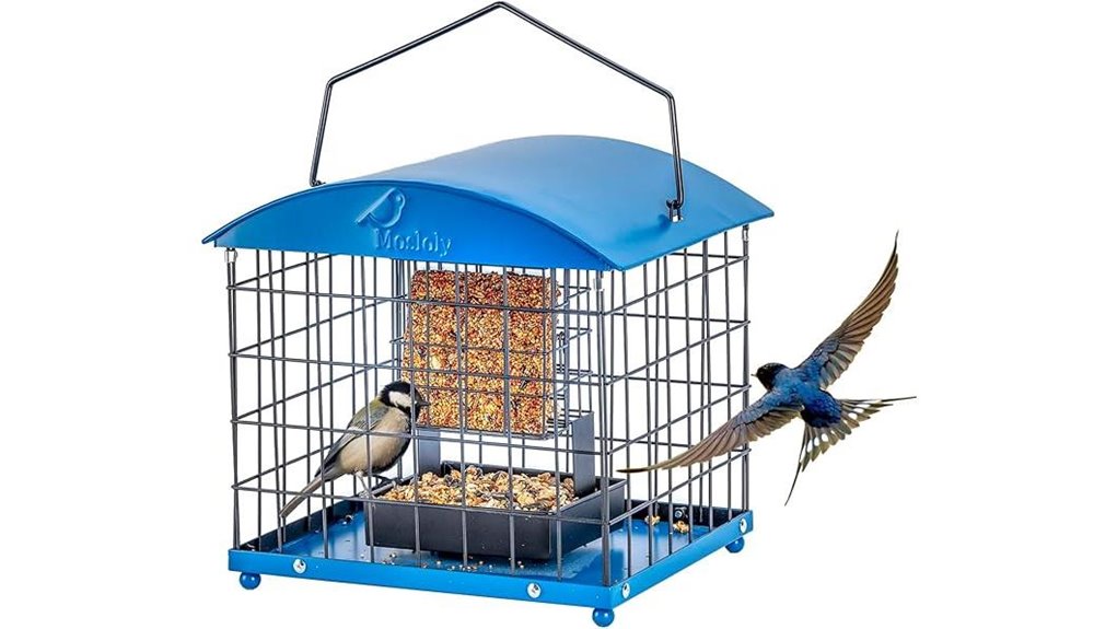 squirrel proof suet seed feeder