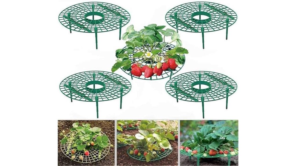strawberry balcony vine supports