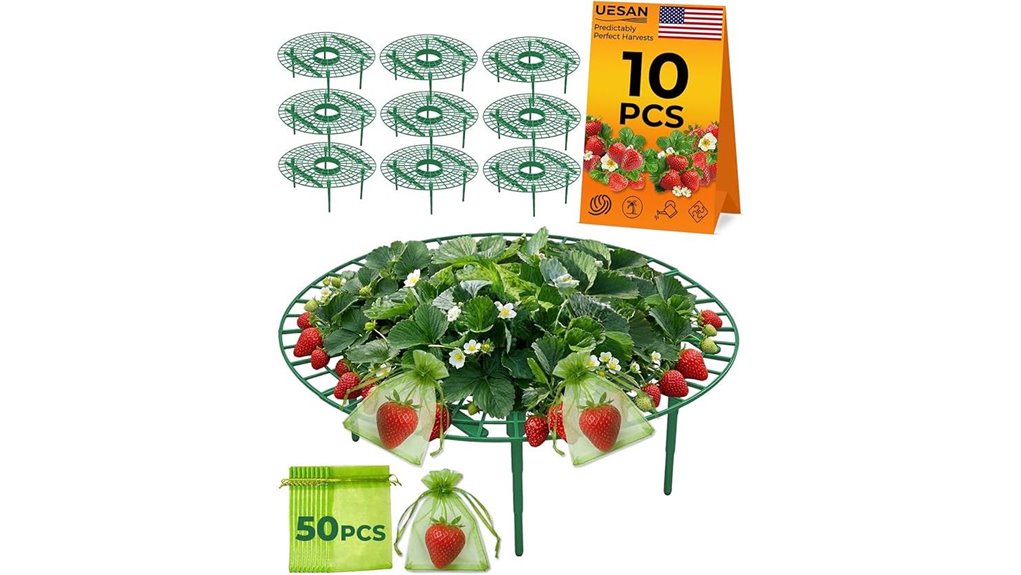 ten piece metal strawberry rack