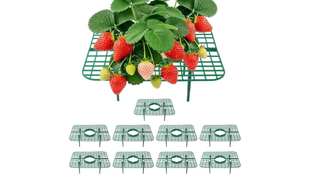 ten strawberry raised grid