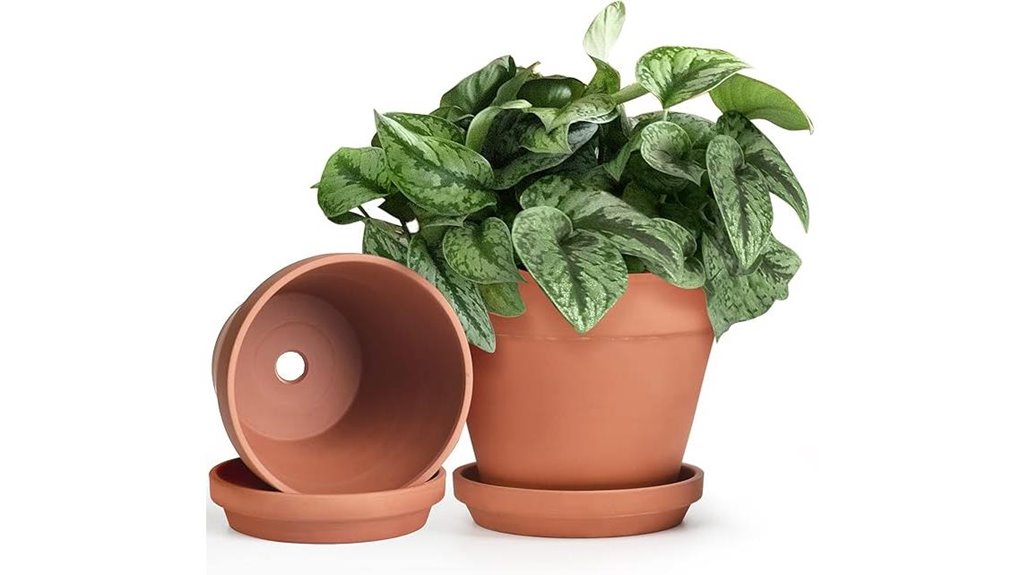 terracotta 2 pack saucer planters