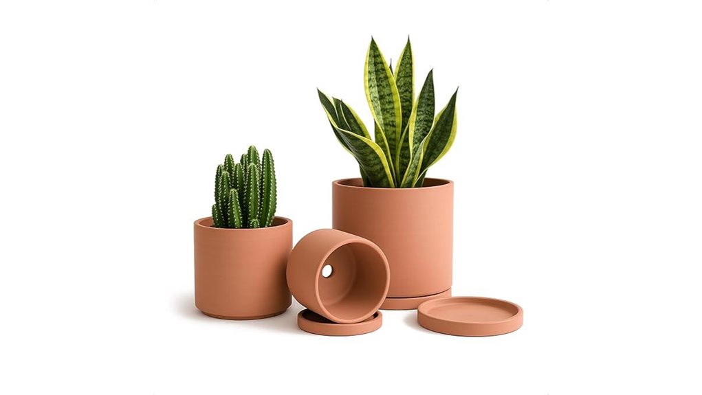 terracotta succulent drainage planter