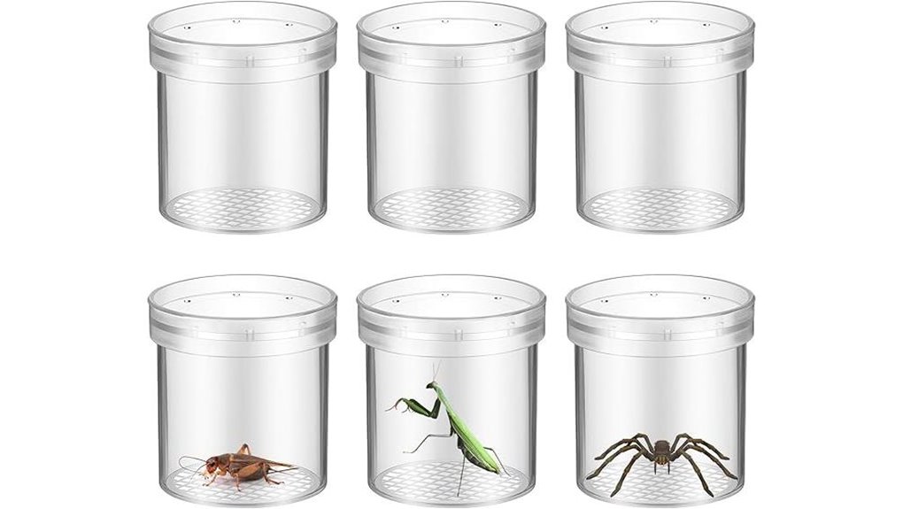 transparent insect observation cup