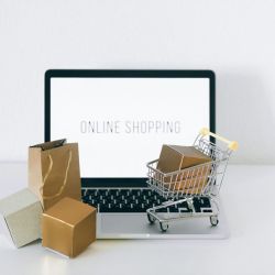 comfortable clean convenient cat litter boxes