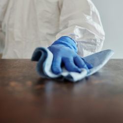 top disinfectants for cleanliness