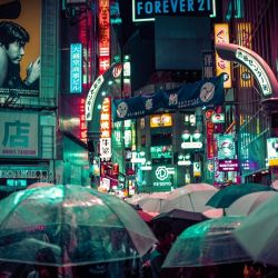 comprehensive umbrella buying guide 2025