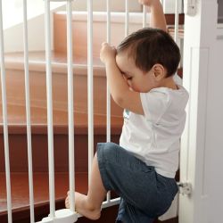 safeguarding little explorers adventures