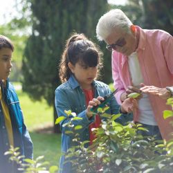 gardening tools transform 2025 experience