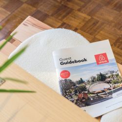 wood finishes professional woodworking guide