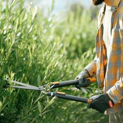 gardeners top pruning shears picks